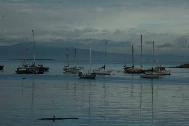 Oak Bay
